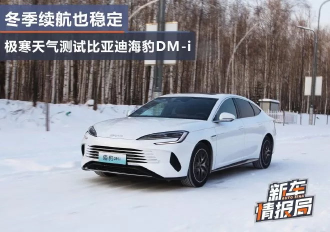 BYD Dolphin DM-i 1.5L Model: Extreme Cold Performance Test & Review