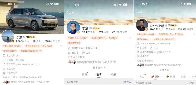 Balancing Brand Influence: The Impact of Weibo on the Automotive Industry in 2024