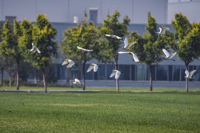 BMW Shenyang Production Base Named Green Low Carbon Practice Base in National Event