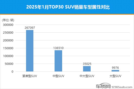 January 2025 SUV Sales Drop: Domestic Brands Struggle Amid Complaints