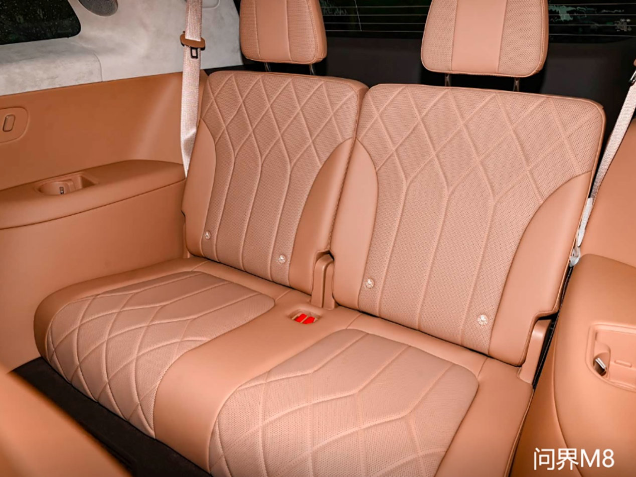 2025 SUV Showdown: Deep Blue S09 vs. Wanjie M8 for Large Families