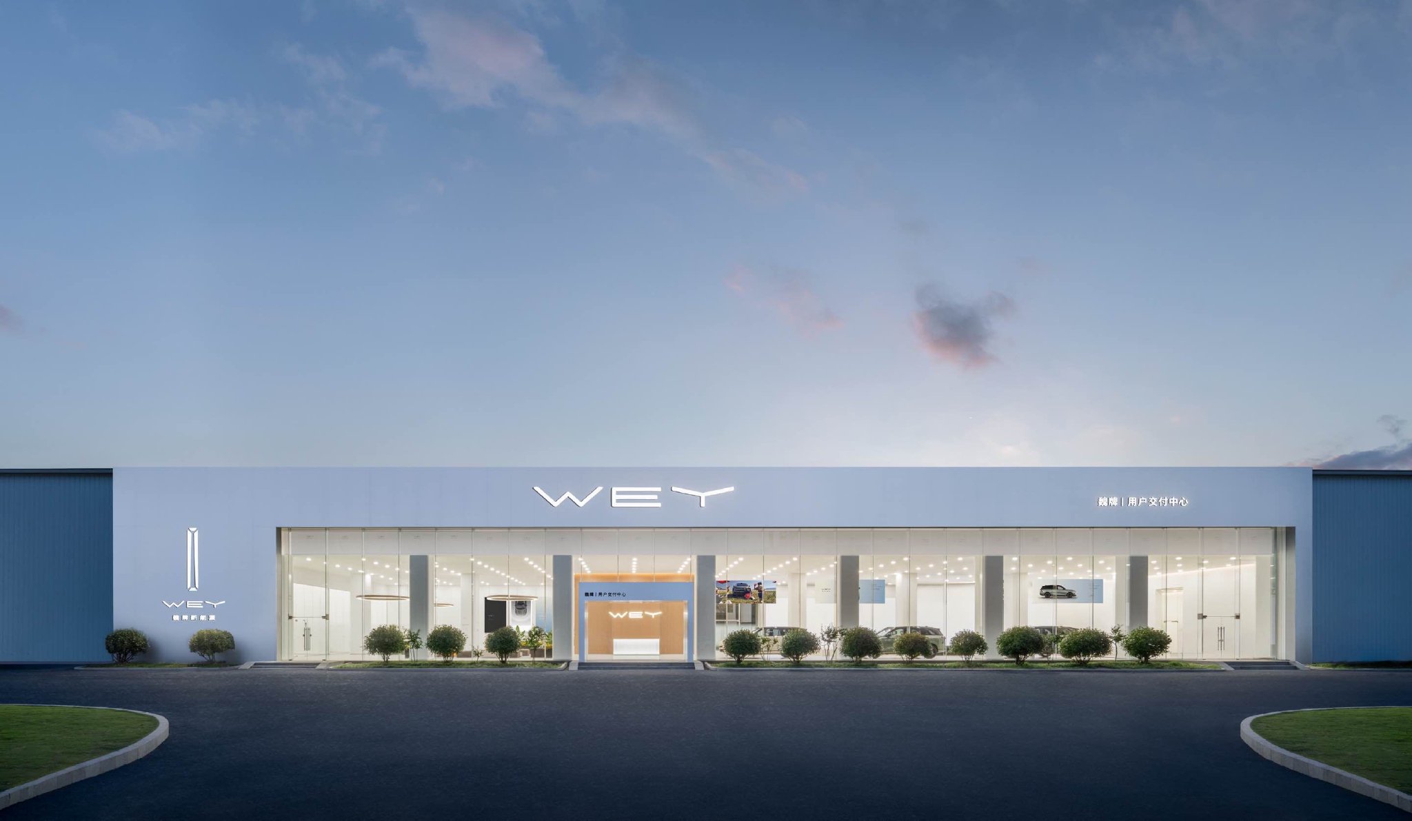 Transforming User Experience: Wei Brand's Commitment to Innovation & Trust